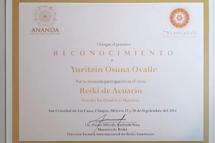 Curso de Reiki Acuario y energía vital.