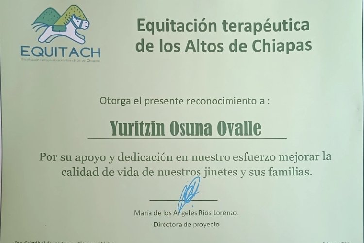 Formación en Equitación Terapéutica.