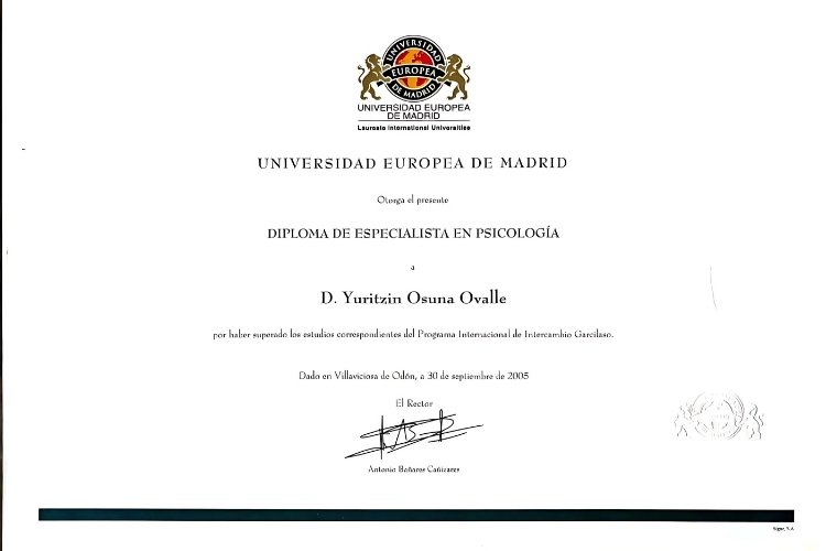 Diploma Especialista en Psicología - Universidad Europea de Madrid.