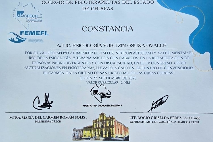 Curso de Reiki Acuario y energía vital.