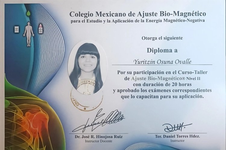 Ajuste Biomagnético Nivel 2 - terapia alternativa.