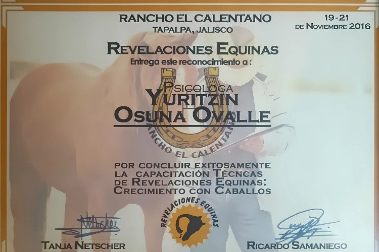 Crecimiento personal con equinos - Revelaciones Equinas.
