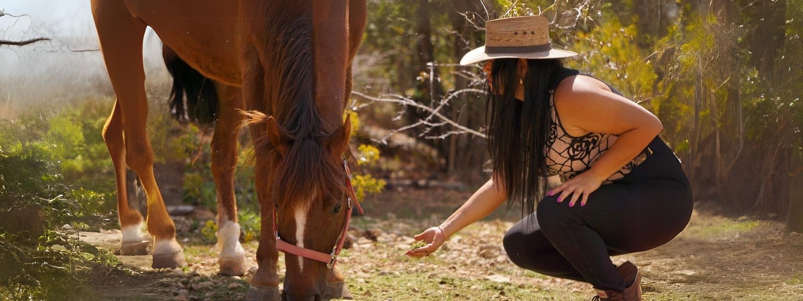 Imagen sobre Psicoterapia Asistida con Equinos